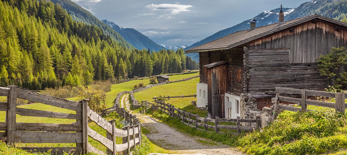 Hut in Ahrntal Valley