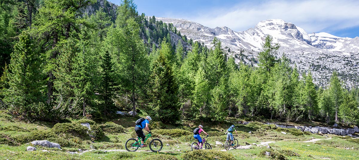 Mountain bike in Val Pusteria - Hotel Sonne Gais
