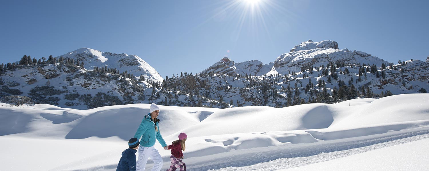 Winter holidays - snowshoeing & Co.